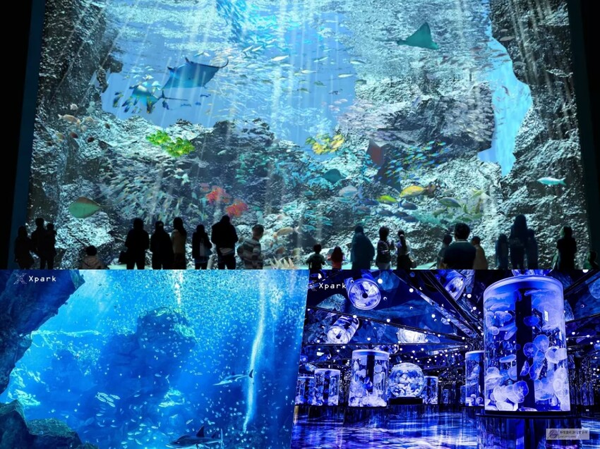 桃園在地人激推！南門市場平價早餐攻略，5大銅板美食。