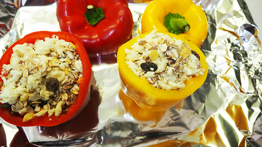 廣紘春季野餐專題,三明治,向日葵子黑麵包,Flensburger,德國啤酒,皮爾森啤酒,金牌啤酒,GOLD,啤酒,進口啤酒,精釀啤酒,生啤