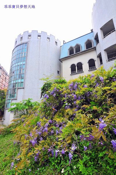 麗林紫藤-8.JPG 麗林紫藤-8.JPG