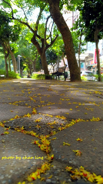 公園路-4.jpg - 2016秋之豔