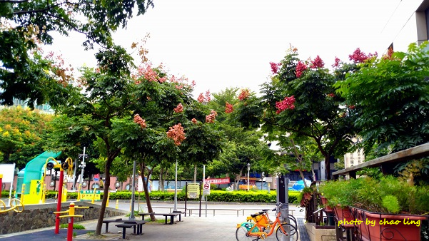 公園路-10.jpg - 2016秋之豔