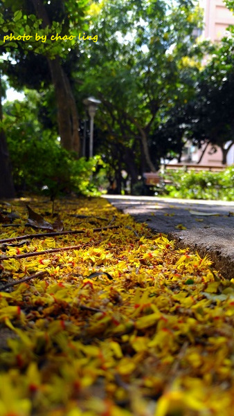 公園路-7.jpg - 2016秋之豔