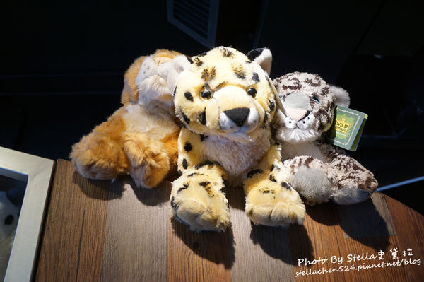 【咖啡廳】都市的動物園咖啡廳ZOO COFFEE(台灣一號店)★微風南京/韓國咖啡廳/大象裝潢