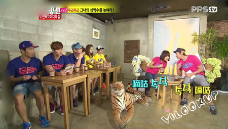 【咖啡廳】都市的動物園咖啡廳ZOO COFFEE(台灣一號店)★微風南京/韓國咖啡廳/大象裝潢