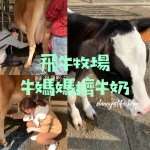 炸雞洋行 外脆內嫩又多汁的炸雞腿 台南美食 - 丹尼的吃喝玩樂