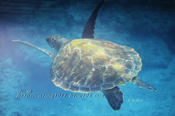 小琉球の貝殼海藻冰~