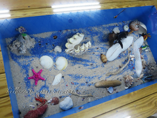 小琉球の貝殼海藻冰~