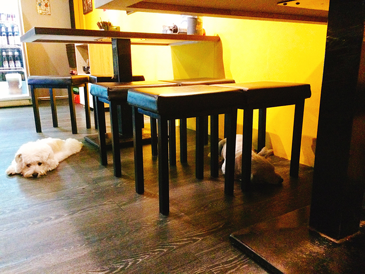 泰夯串燒/泰式居酒屋-板橋浮洲店 泰夯串燒,泰式居酒屋,我不是他媽媽,土城泰式料理,樹林平價美食,樹林泰式料理,土城景點,土城一日遊,土城桐花季,樹林一日遊,樹林泰國菜