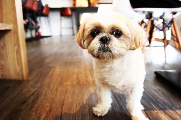 對味The Taste：【新北市中和區。早午餐】對味The Taste 提供免費wifi 提供插座 免服務費 景安捷運站