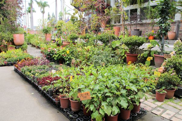 文心園・花園咖啡：【南投景點】文心園花園咖啡~巴洛克式的歐風設計，浪漫的異國風情，復古唯美水池，免費無料的拍照景點