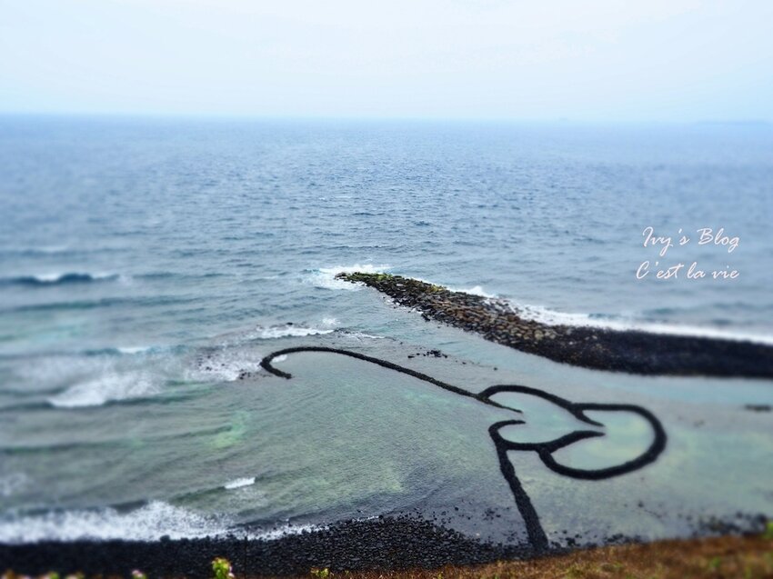 P4250446.JPG P4250446.JPG