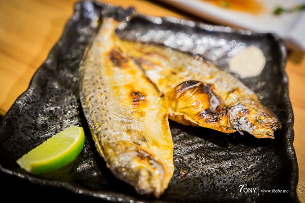 DSC09723.jpg DSC09723.jpg