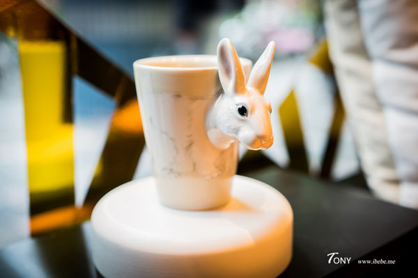 DSC08119.jpg DSC08119.jpg