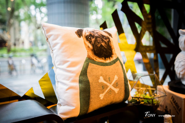 DSC08121.jpg DSC08121.jpg