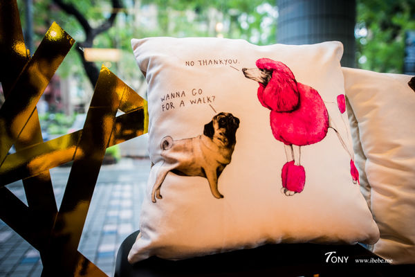 DSC08124.jpg DSC08124.jpg