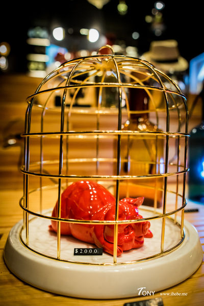 DSC08268.jpg DSC08268.jpg