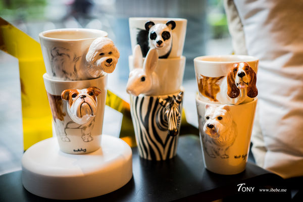 DSC08113.jpg DSC08113.jpg