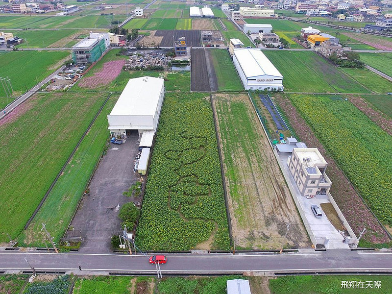 12583866_560433097453362_1414046505_n