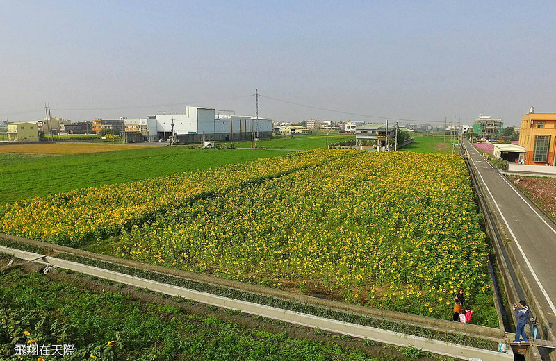 12562830_560433127453359_227952454_o