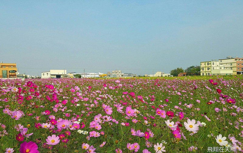 12546076_560433164120022_1403619868_o