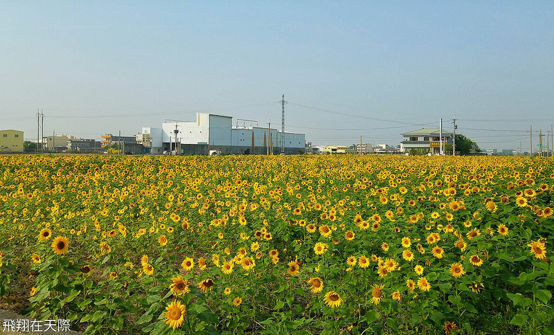 12528204_560433157453356_2040794566_o