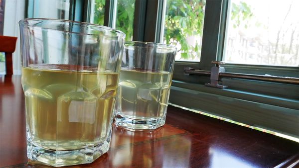 【台南市-麻豆區】在花木扶疏.綠草如茵的氛圍下，與提供風味一流的西班牙料理ー『麻豆驢子廚房』，來場迷人的心靈饗宴吧٩(๑❤ω❤๑)۶