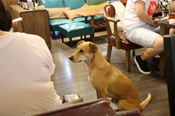 IMG_1824-min.JPG IMG_1824-min.JPG