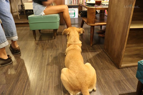 IMG_1787-min.JPG IMG_1787-min.JPG