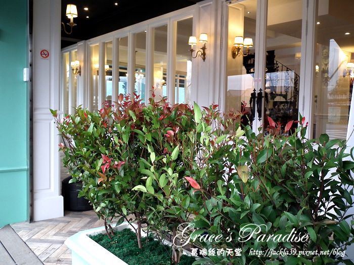 DSCF1397_nEO_IMG.jpg DSCF1397_nEO_IMG.jpg