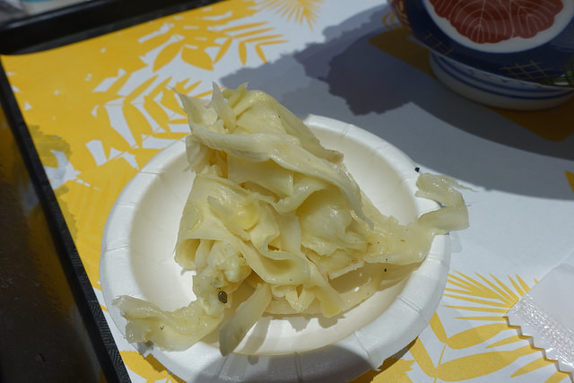 20170617金子半之助 (8)