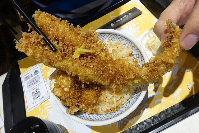 20170617金子半之助 (11)