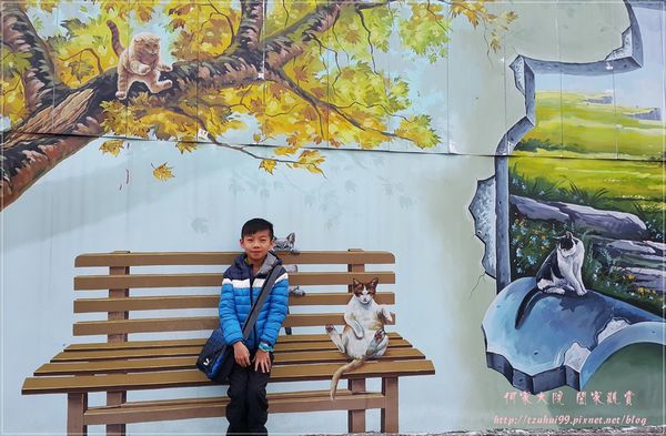 嘉義民雄3D貓咪彩繪村(菁埔貓世界) 18.jpg