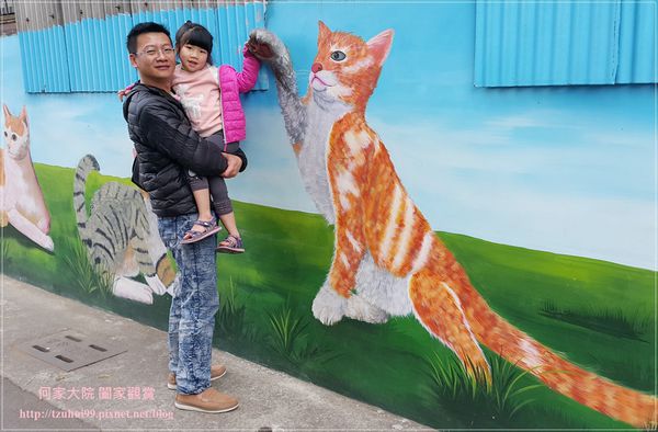 嘉義民雄3D貓咪彩繪村(菁埔貓世界) 05.jpg