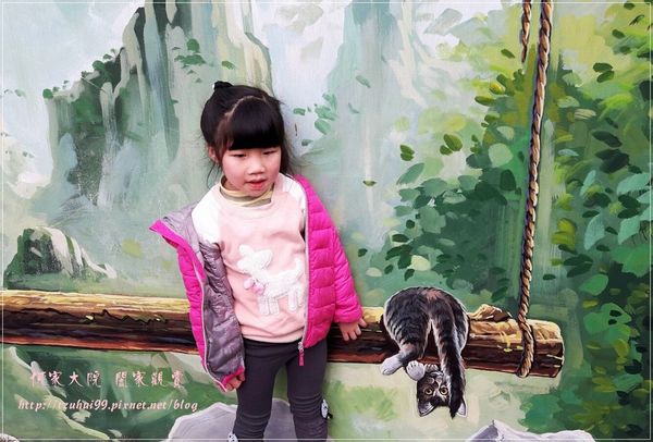 嘉義民雄3D貓咪彩繪村(菁埔貓世界) 22.jpg