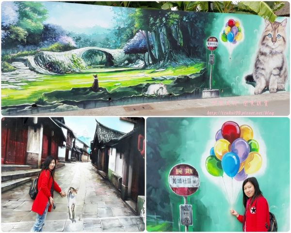 嘉義民雄3D貓咪彩繪村(菁埔貓世界) 15.jpg