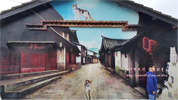 嘉義民雄3D貓咪彩繪村(菁埔貓世界) 10.jpg