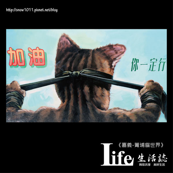 菁埔貓世界-26.jpg 菁埔貓世界-26.jpg