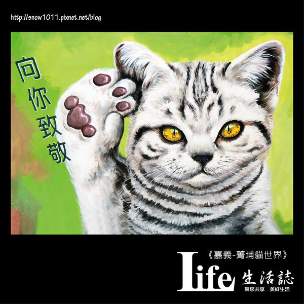 菁埔貓世界-34.jpg 菁埔貓世界-34.jpg