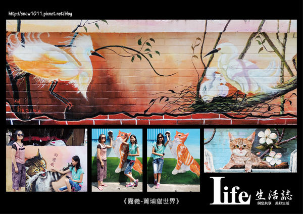菁埔貓世界-16.jpg 菁埔貓世界-16.jpg