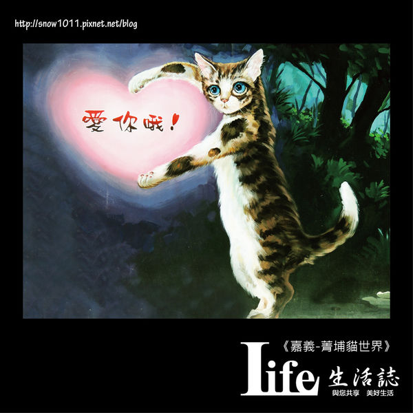 菁埔貓世界-35.jpg 菁埔貓世界-35.jpg