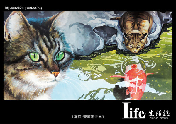 菁埔貓世界-10.jpg 菁埔貓世界-10.jpg