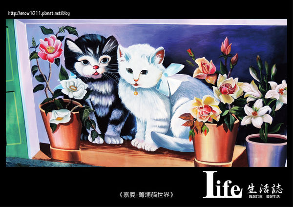 菁埔貓世界-4.jpg 菁埔貓世界-4.jpg