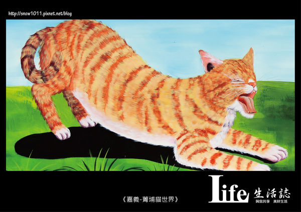菁埔貓世界-11.jpg 菁埔貓世界-11.jpg