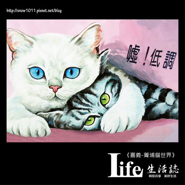 菁埔貓世界-21.jpg 菁埔貓世界-21.jpg