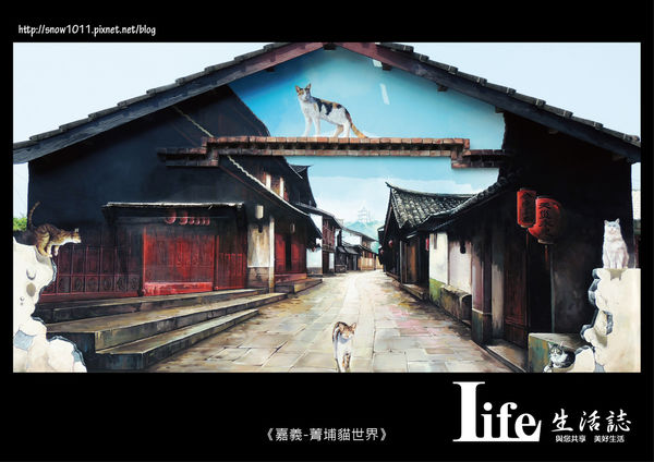 菁埔貓世界-8.jpg 菁埔貓世界-8.jpg