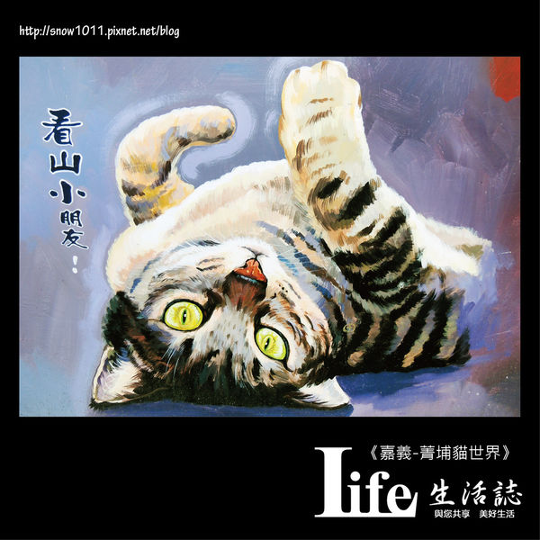 菁埔貓世界-22.jpg 菁埔貓世界-22.jpg