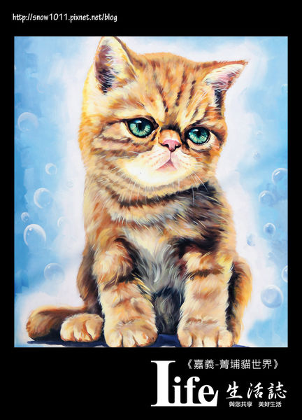 菁埔貓世界-38.jpg 菁埔貓世界-38.jpg