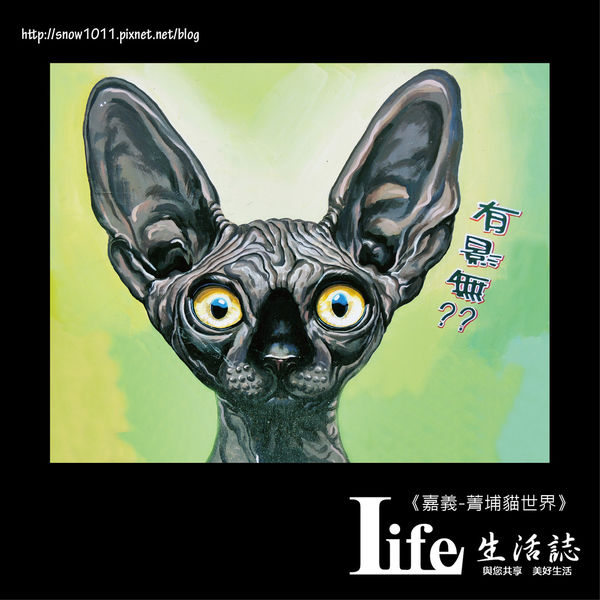 菁埔貓世界-25.jpg 菁埔貓世界-25.jpg