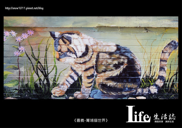 菁埔貓世界-15.jpg 菁埔貓世界-15.jpg