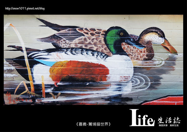 菁埔貓世界-13.jpg 菁埔貓世界-13.jpg